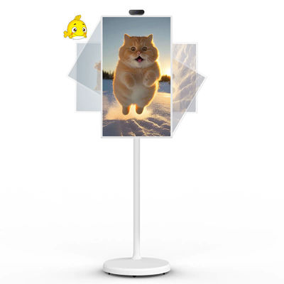 qualité  21" Android 12 System Stand By Me TV Smart Broadcast Machine Touch Screen usine