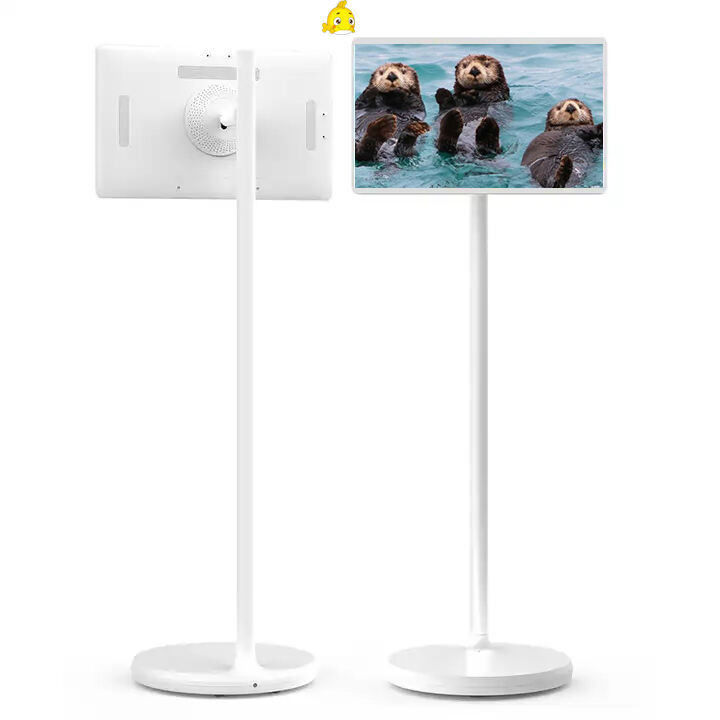 27 pouces RK3566 8+128GB Grande mémoire Stand By Me Portable TV Machine de diffusion en direct